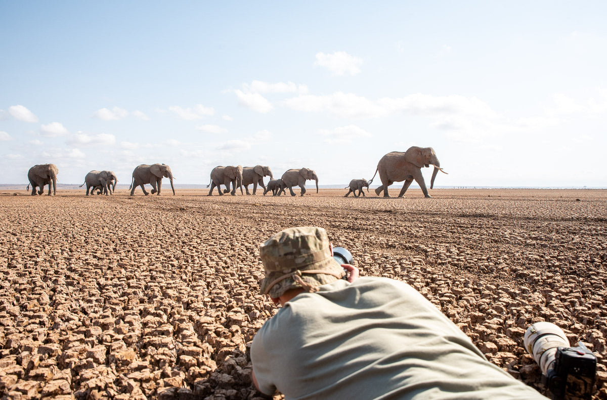 Coming Soon: New Photo Tours