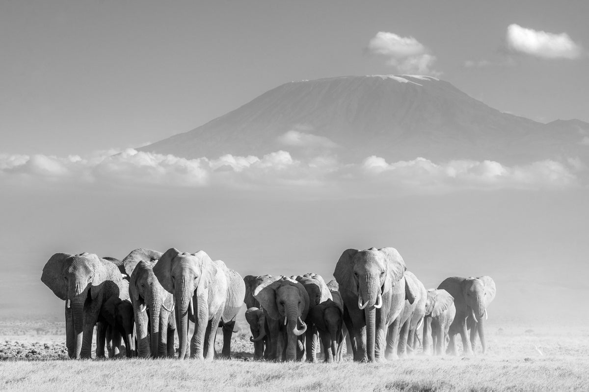 Amboseli