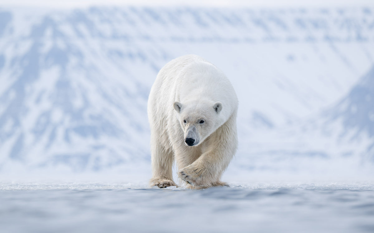 Svalbard