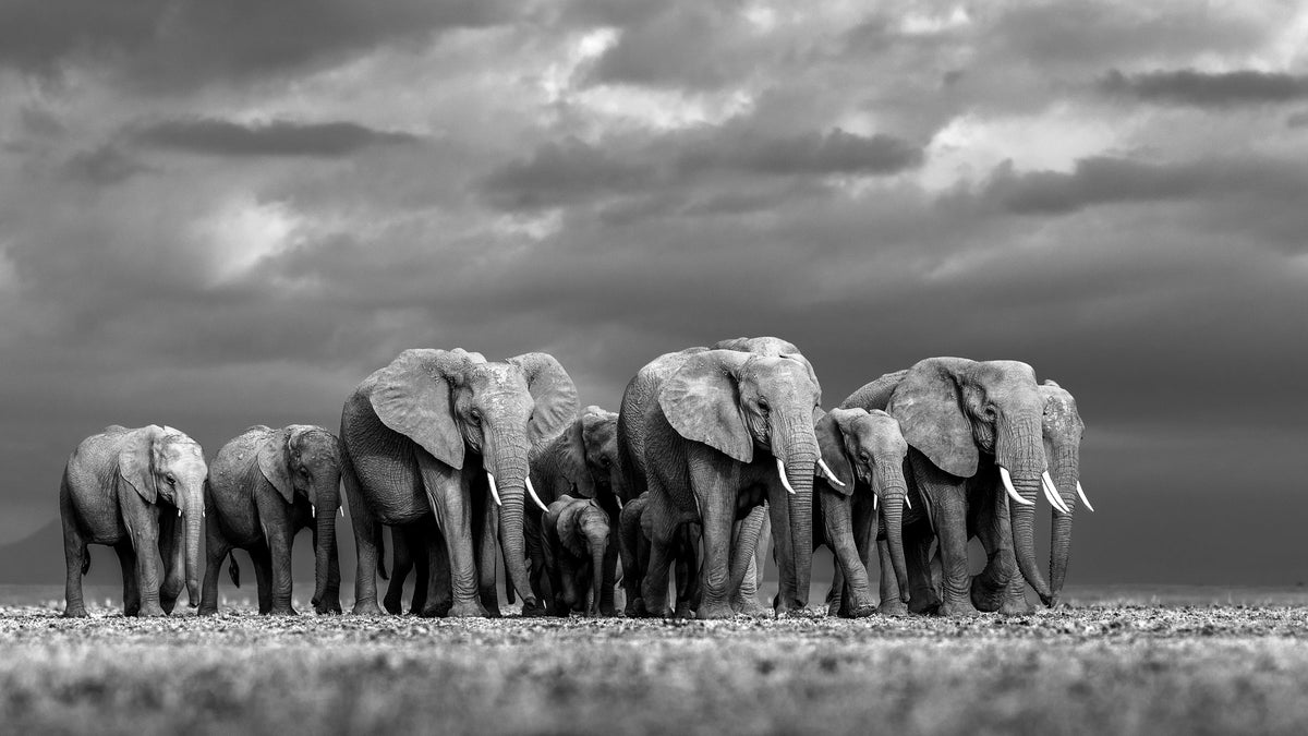 Unity