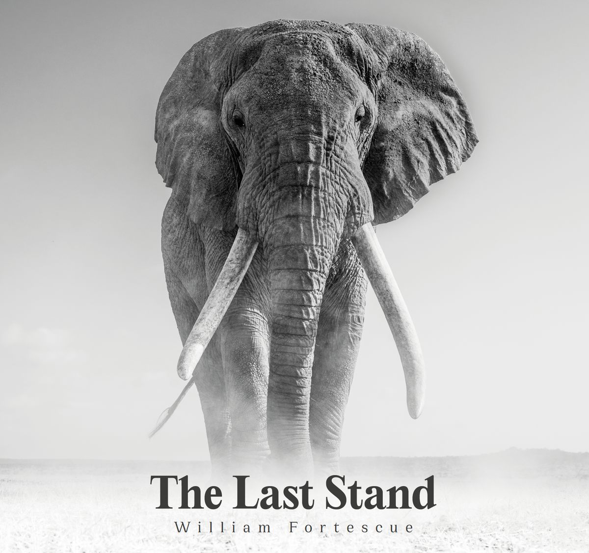 The Last Stand